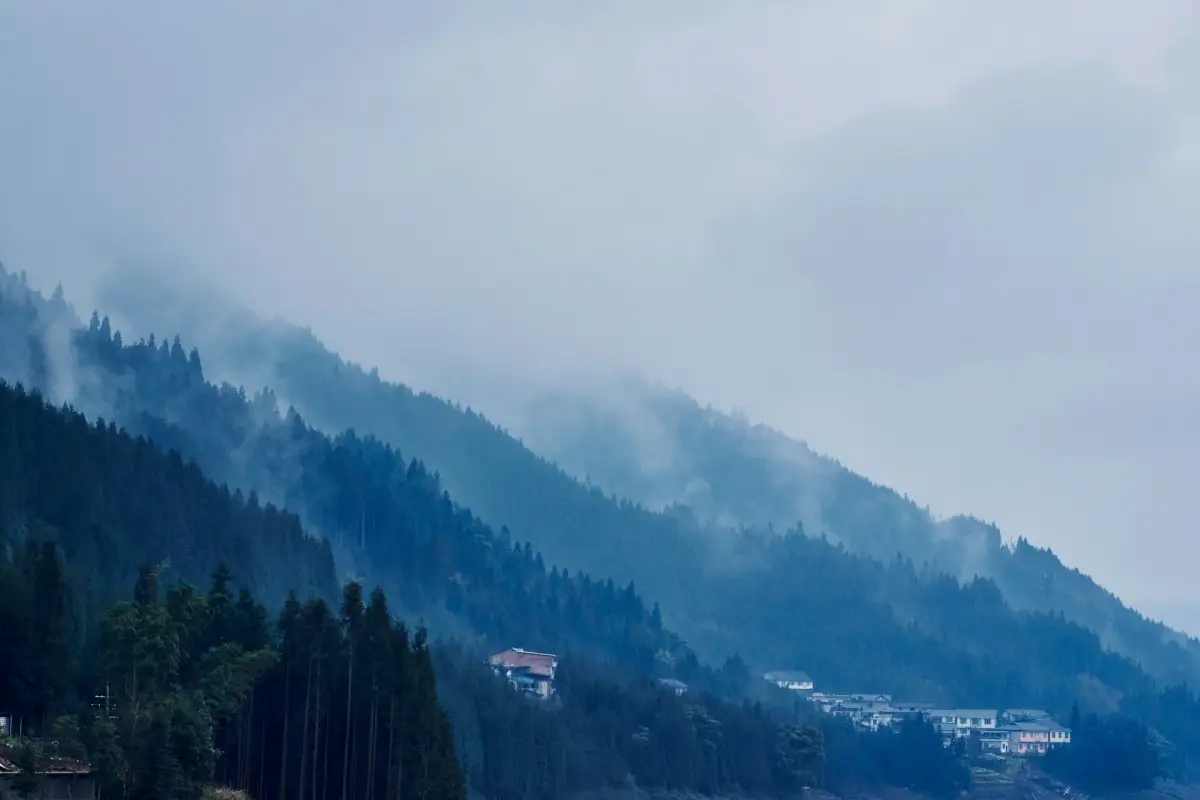 瓦屋山云雾缭绕的森林山坡